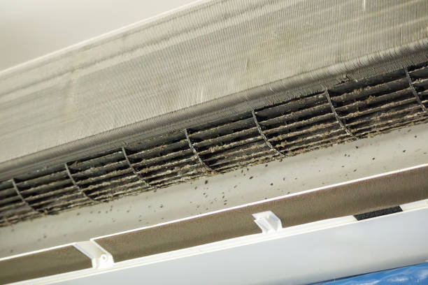 Best Professional Duct Cleaning Services  in Tucson Mountains, AZ